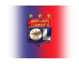 Brand New Olympique Lyonnais Soccer Mouse Pad