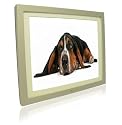 Pictorea Pro 8" Digital Photo Frame (Silver Wood) MP3/Movies/Jpeg & Remote With Zero Dead Pixel Warranty