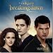 (12x12) The Twilight Saga Breaking Dawn 16-Month 2013 Wall Calendar