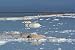 Salt in the Dead Sea, Israel - 24W x 16H - Peel and Stick Wall Decal by Wallmonkeys