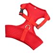 Dog Harness Soft Mesh Pet Harness - XLarge, Red