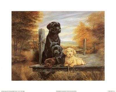 Schwimmunterricht von Ruane Manning, 71x56