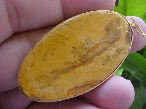 Gemqz C6705 Racoleps Fish Fossil Charm Ceara Brazil