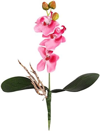 Orchid Artificial Silk Flower Home Wedding Decor Happy GIfts Plastic Cloth (5Pcs, Pink)