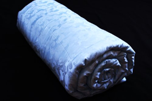 Sky Blue 100% 19mm Silk Comforter QUEEN