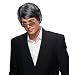 Short Grey Middle-Aged Mens Wig