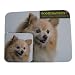 Pomeranian Dog Mouse Pad & Coaster Set