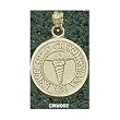 Creighton Univ Caduceus Charm/Pendant -14K/10K, Stainless Steel or Gold Plated