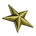 3D 5 Point Bronze Star Lapel Pin