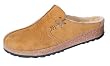 Haflinger Saskatchewan in Tan
