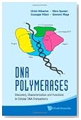 DNA Polymerases: Discovery, Characterization and Functions in Cellular DNA Transactions