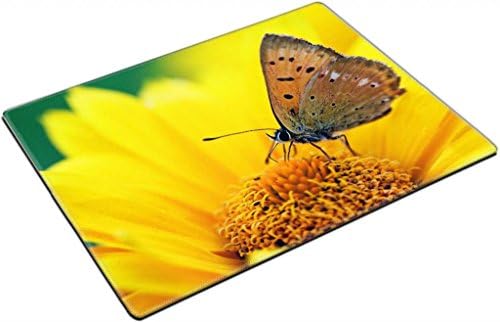 Honey Gather Insect Butterfly Yellow Flowers Punktail's Collections Square Coasters 4 Piece Set Fabric Rubber 5 Inches