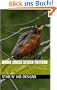 Robin Cross Stitch Pattern