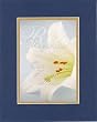 Beautiful and Inspiring 8 x 10 Inches Frame able Easter Floral Note Card (Rejoice! Our Savior Lives!) on Double Beveled Matting