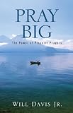 Pray big : the power of pinpoint prayers