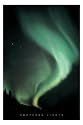 NORTHERN LIGHTS GREEN SKY 24" X 36" POSTER #PP30992