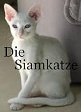 Die Siamkatze