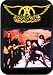 Search : Aerosmith - Group Shot with Logo Above - Sticker / Decal