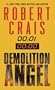 Demolition Angel