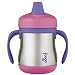 Thermos Foogo Leak-Proof SS 7 Ounce Sippy Cup with Handles, Pink, 6 Months