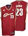 LeBron James Cleveland Cavaliers Maroon Youth Replica Adidas NBA Jersey