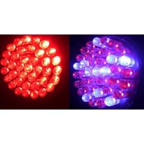 Anti-Aging LED Light Therapy Combo with Acne 415 Blue Light Therapy