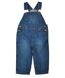 Greendog "Ziffel" Overalls (Sizes 6M - 24M)