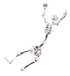 Skeleton Body Skull Bones Belly Ring Curved Barbell