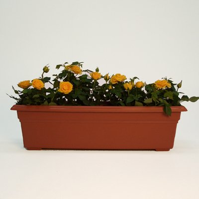Countryside Flower Box Planter, Terra Cotta, 36" x 8" x 6.5"