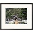 Doksum, Wrought Iron Chain Bridge Built by Thangthong Gyelpo, Himalayan Kingdom, Bhutan Framed Art Poster Print by Lincoln Potter, 21x17