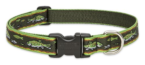 LupinePet 1-Inch Brook Trout 12-20-Inch Adjustable Dog Collar for Medium and Large Dogs