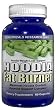 Hoodia Fat Burner - 60 Capsules Maximum Hoodia Gordonii Appetite Suppressant Weight Loss Diet Pills