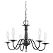 Sea Gull Lighting 3121-72 Traditional 5-Light Chandelier, Olde Iron