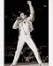 Freddie Mercury Queen B&W 16x20 Photo