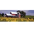 An American Dream 750 pc Panorama Jigsaw Puzzle