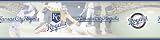 KC Royals MLB Prepasted Wall Border, 6-Inch-by-15-Foot