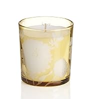 Orange Blossom Filled Candle