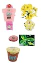 Fifi & The Flowertots Lcd Watch, Plant, Vase Action Set