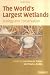 The World's Largest Wetlands: Ecology and Conservation