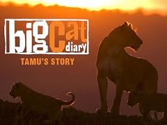 See more detail about Episode 1