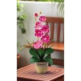 Shopzeus USA zeusd1-CALA-4269897 Single Stem Phalaenopsis Silk Orchid Arrangement