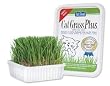 GIMB CAT GRASS 150GM TUB