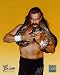 JAKE THE SNAKE ROBERTS WWE GLOSSY COLOR 8 x 10 WRESTLING PHOTO