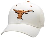 Texas Longhorns ''LONGHORN'' White DHS Hat