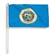 Minnesota Flag 12 x 18 inch