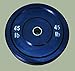 45 lb Rubber Bumper Plate