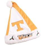 Tennessee Volunteers Mistletoe Santa Hat