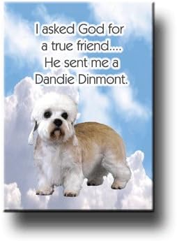 Dandie Dinmont True Friend Fridge Magnet