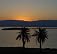 DEAD SEA ANGELS