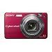 Sony Cybershot DSCW150/R 8.1MP Digital Camera with 5x Optical Zoom with Super Steady Shot (Red)